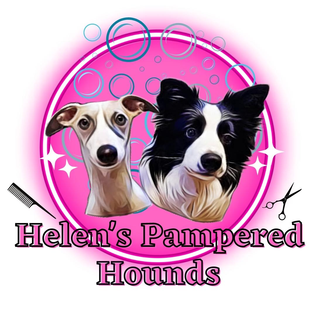 Helen's Pampered Hounds 